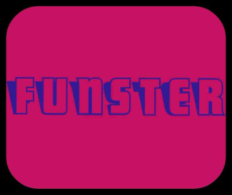 Funster computer services picture