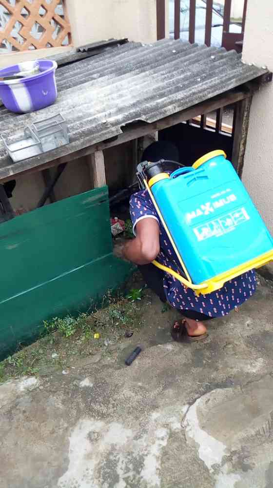 Pest Control Services
