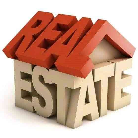 REAL ESTATE NETWORK NG