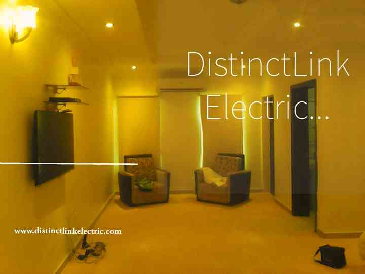 DistinctLink Electric  Ltd picture