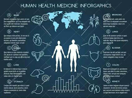 My Health Life picture