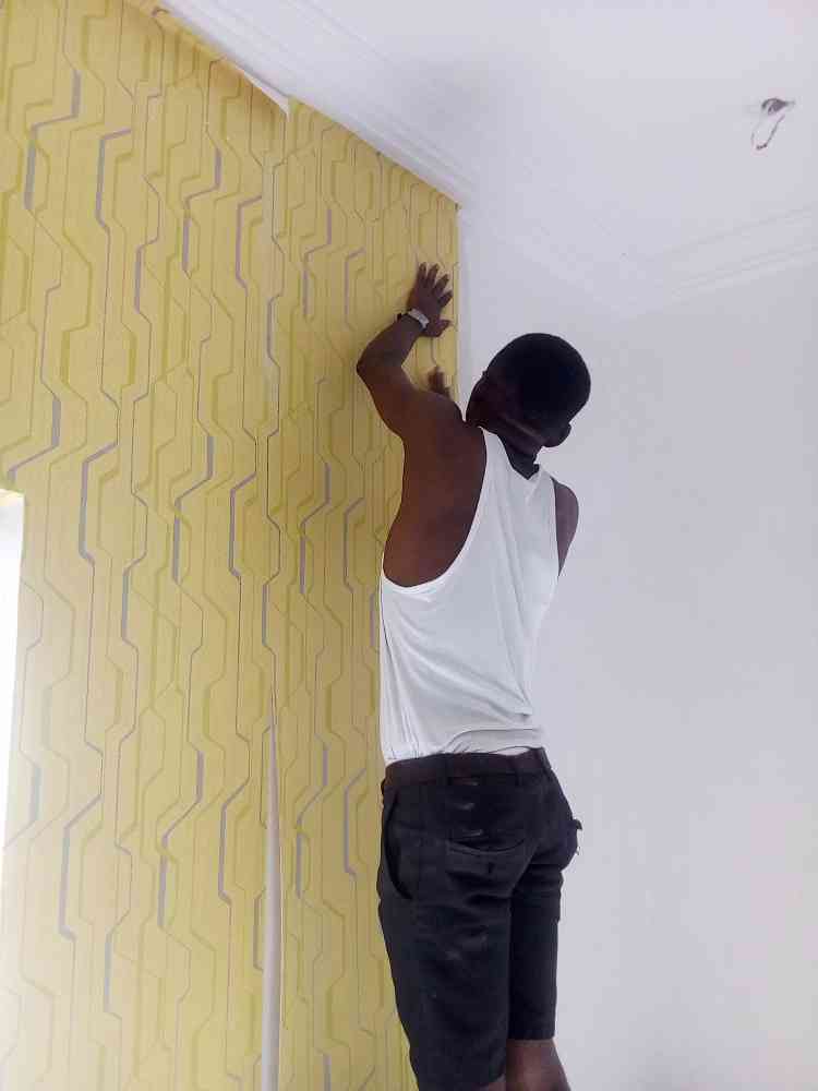 Wallpaper and 3D wall panel installer picture