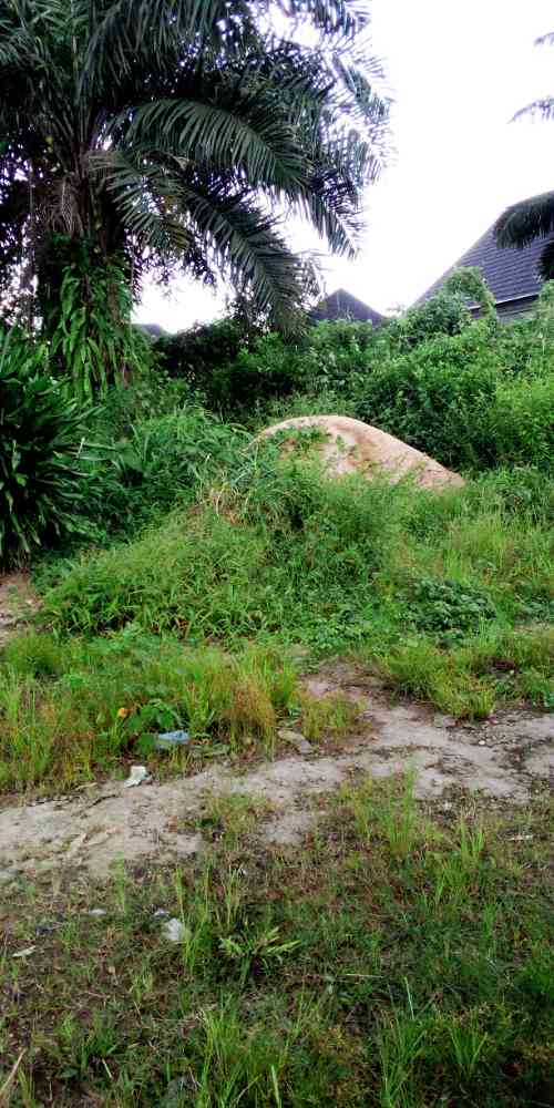 Kristas properties
