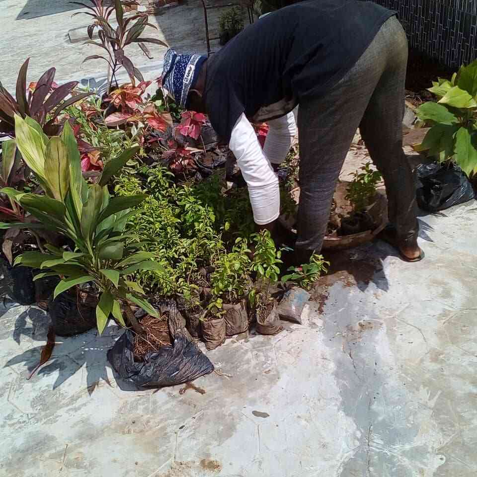 Horticultural Services