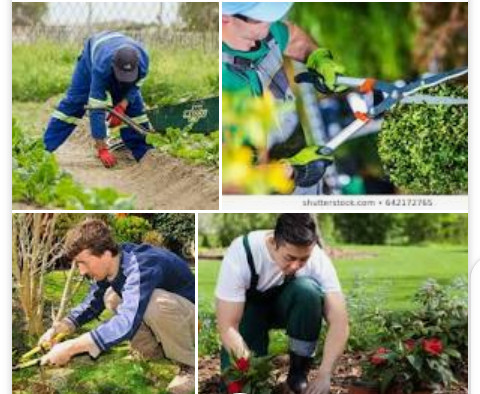 Abideen gardener picture